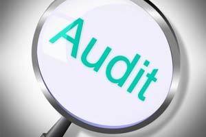 What the ATO are targeting this FBT year audit