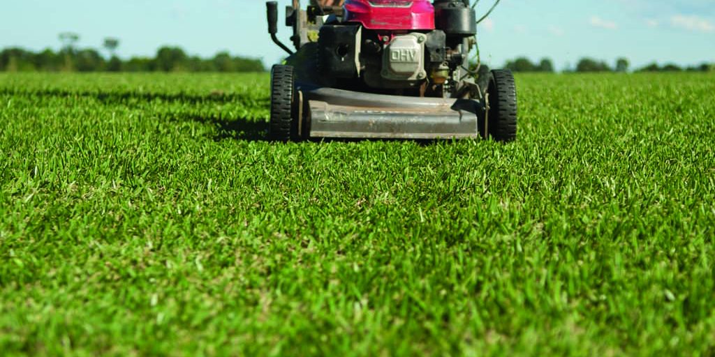 set up before franchising headless front_mowing