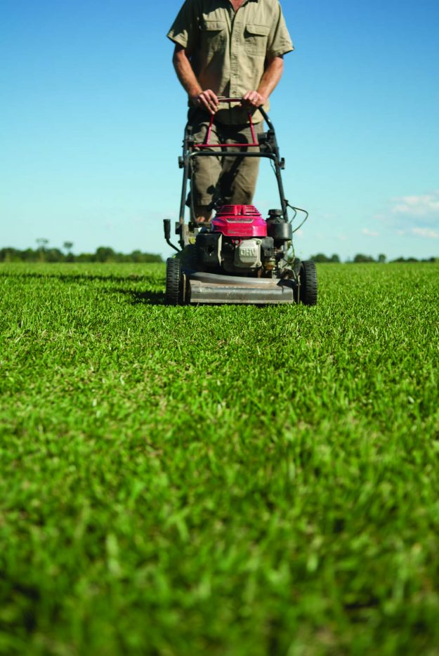 set up before franchising headless front_mowing