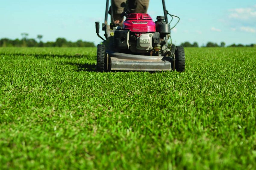 headless front_mowing